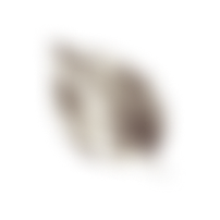 imagem folha - efect