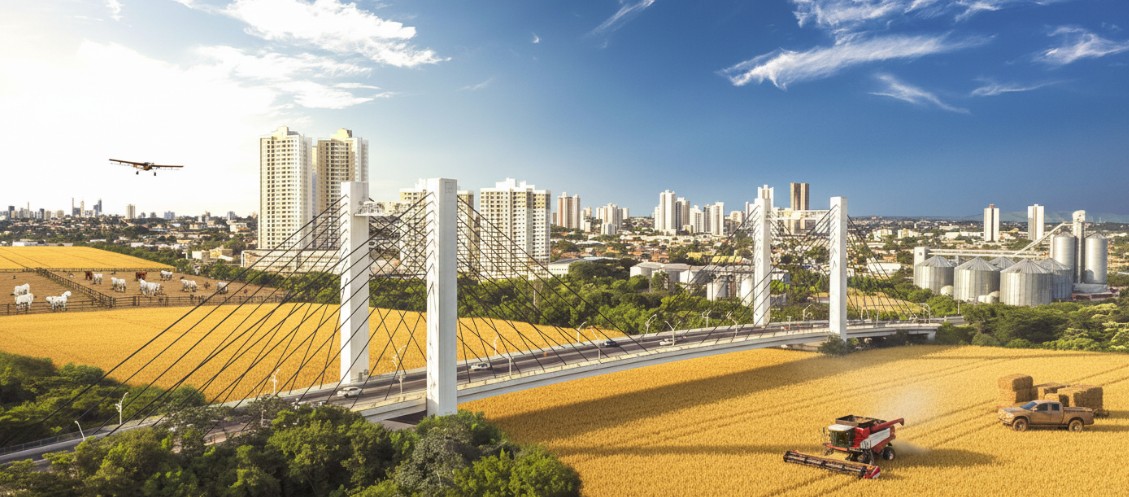 Advogado do agronegócio em Cuiabá (MT): crédito e disputas empresariais
